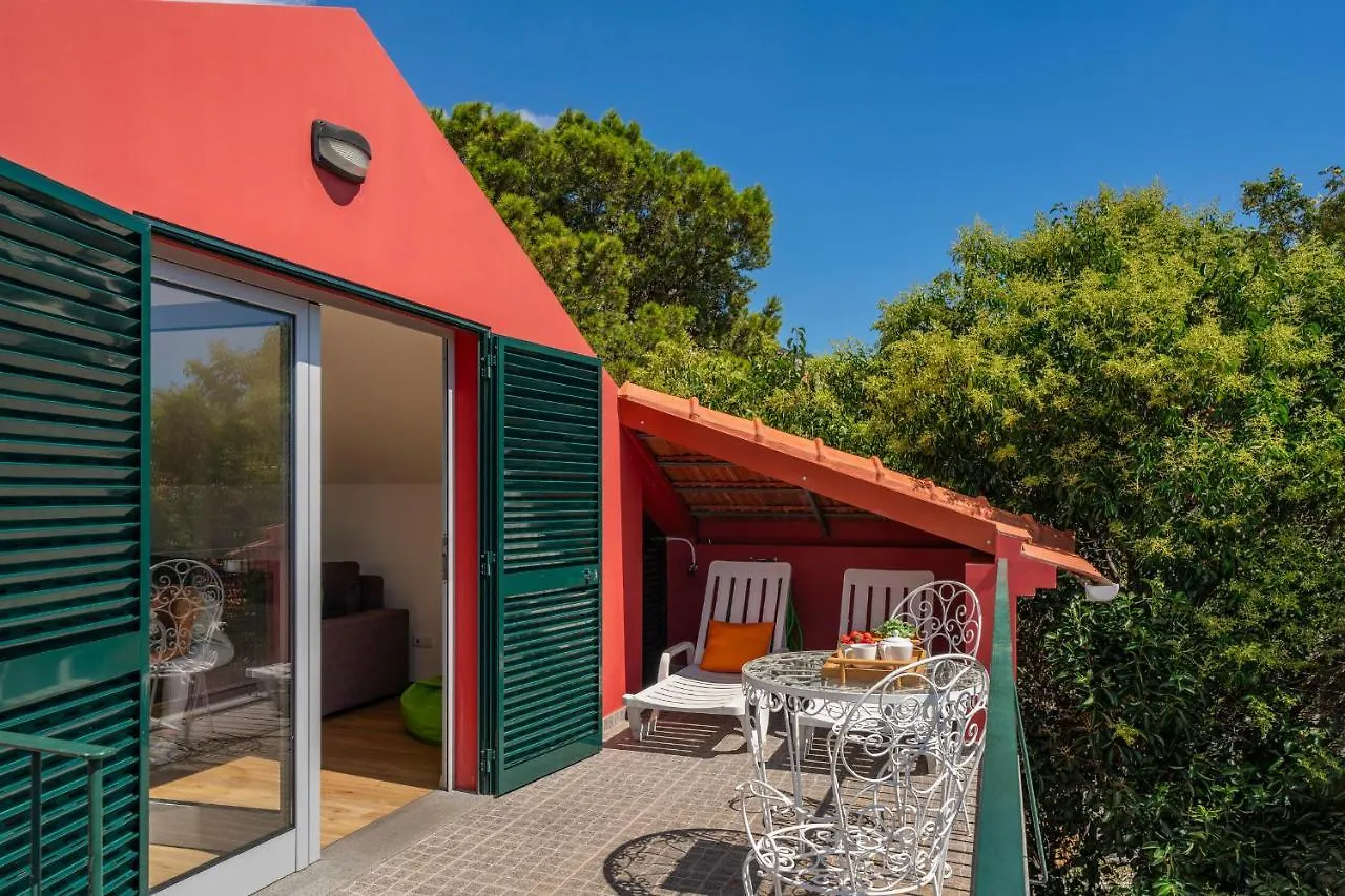Casa Strelitzia By An Island Apart Funchal  Holiday home Funchal (Madeira)
