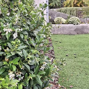 Moradia Stephanie Funchal (Madeira)